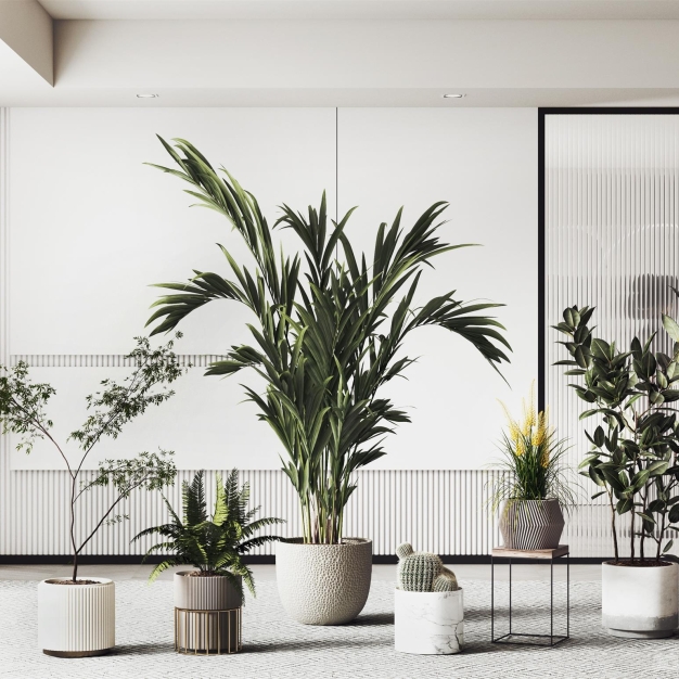 现代植物盆栽3D模型